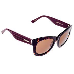 Óculos de Sol Feminino C0004 Colcci - Marrom/Vinho