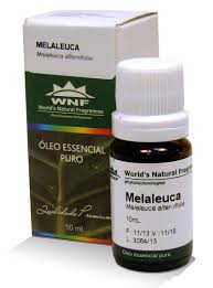 Óleo Essencial de Melaleuca 10 Ml Wnf Tea Tree