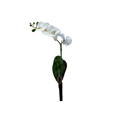 Tudo sobre 'Orquídea Toque Real Branca 70cm'