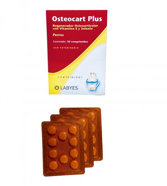 Osteocart Plus 1 Caixa com 30 Comprimidos Labyes