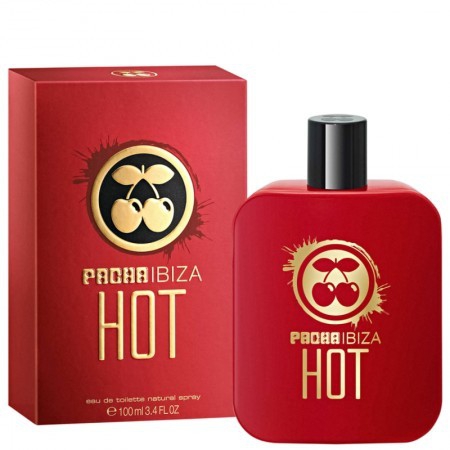Pacha Ibiza Perfume Masculino Hot Eau de Toilette 100ml
