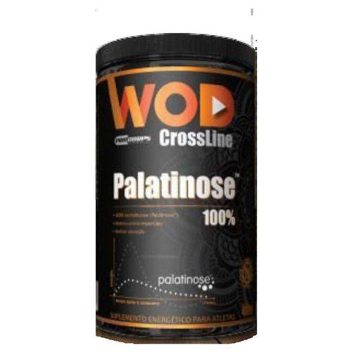 Tudo sobre 'Palatinose Wod Crossline (400g) - Procorps'