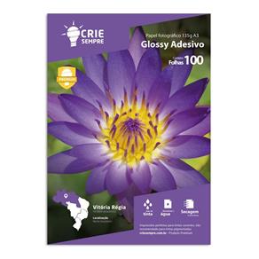 Papel Fotográfico Adesivo Glossy Brilhante A3 135g Crie Sempre PREMIUM 100 Folhas