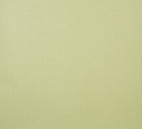 Papel Parede Liso Vg 10x52cm Verde