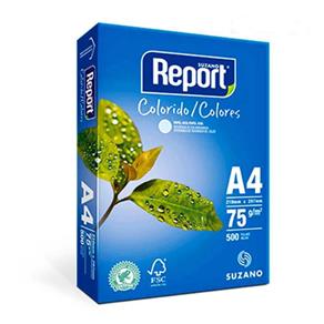 Papel Sulfite Report A4 75g Colorido com 500 Folhas
