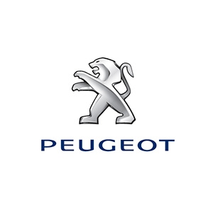 Coifa Alavanca Cambio - Peugeot 1606407580