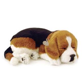 Perfect Petzzz Cachorro Beagle - Imex
