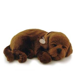 Perfect Petzzz Cachorro Labrador Chocolate - Imex