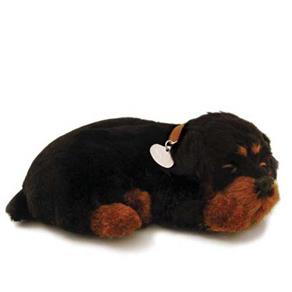 Perfect Petzzz Cachorro Rottweiller - Imex