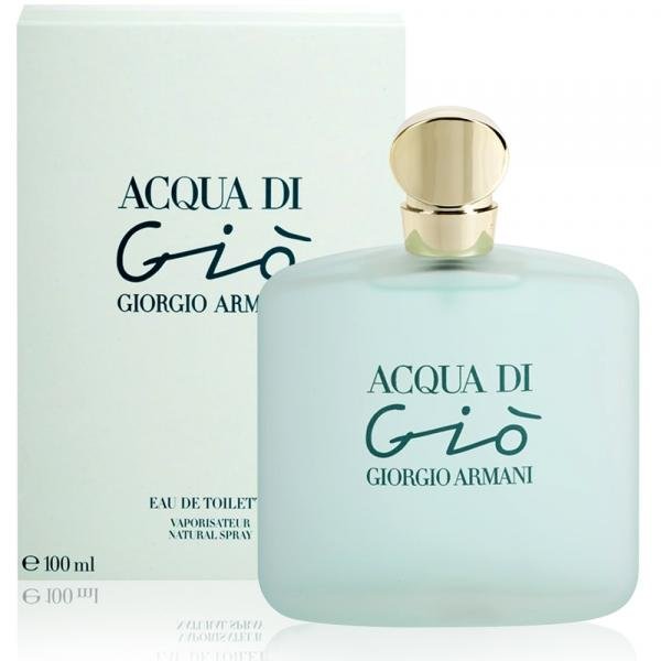 Perfume Acqua Di Gio Feminino Edt 100ml Giorgio Armani
