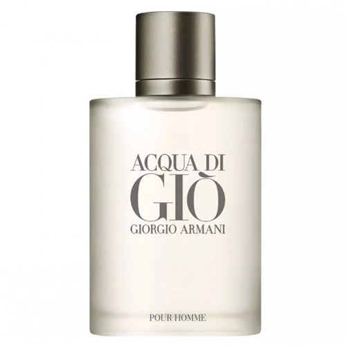 Perfume Acqua Di Gio Masculino Eau de Toilette (100 Ml)