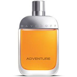 Perfume Adventure Masculino Eau de Toilette 100ml - Davidoff
