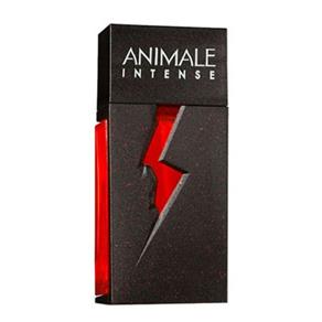 Perfume Animale Intense EDT Masculino - Animale - 100ml - 100 ML