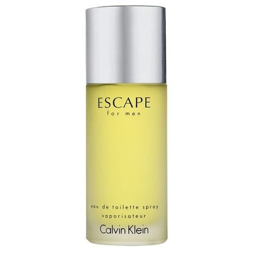 Perfume Calvin Klein Escape EDT Masculino