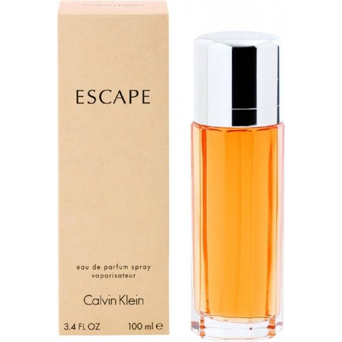 Perfume Calvin Klein Escape Feminino Edp 100Ml