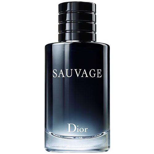 Tudo sobre 'Perfume Dior Sauvage Masculino Eau de Toilette'