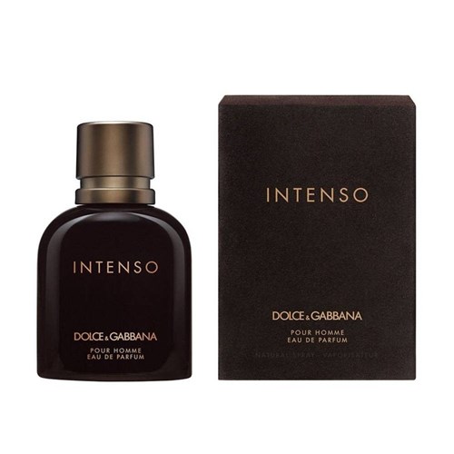 Perfume Dolce Gabbana Intenso Edp Masculino 75Ml