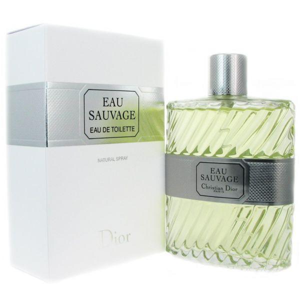Perfume EAU Sauvage EDT 100ml Masculino - Dior
