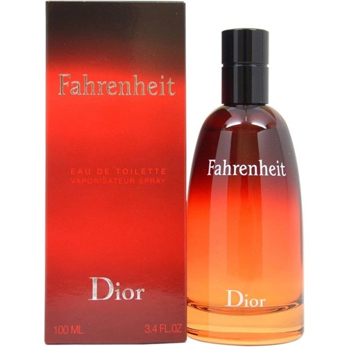 Perfume Fahrenheit - Dior - Masculino - Eau de Toilette (50 ML)