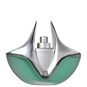 Perfume Feminino Silver Light Woman Eau de Parfum - 100 Ml