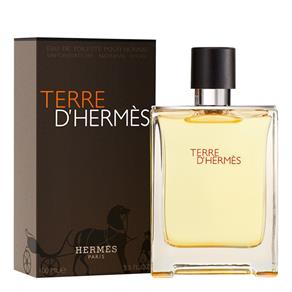 Perfume Hermès Terre D`Hermès 100ml Eau de Toilette Masculino