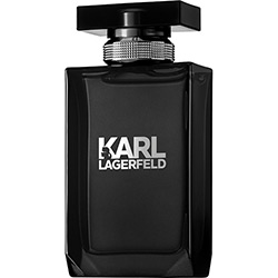 Perfume Karl Lagerfeld Masculino Eau de Toilette 100ml