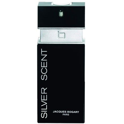 Tudo sobre 'Perfume Masc. Silver Scentt 100ml Edt'