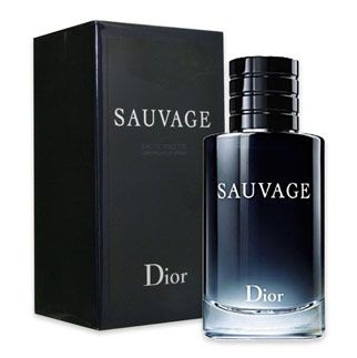 Perfume Masculino Dior Sauvage Eau de Toilette
