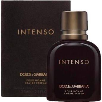 Perfume Masculino Dolce Gabbana Pour Homme Intenso Eau de Parfum