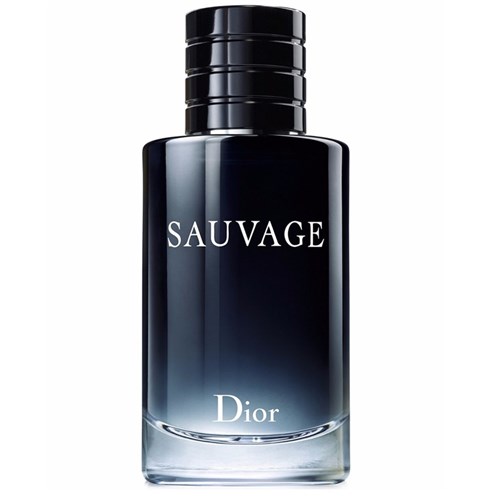 Perfume Masculino Sauvage Dior Eau de Toilette 100Ml