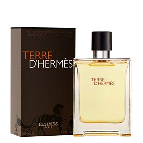 Perfume Masculino Terre D'Hermès Eau de Toilette