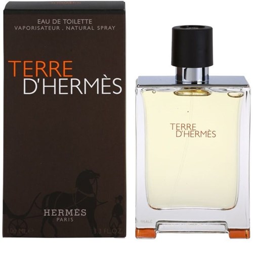 Perfume Masculino Terre D'hermès Eau de Toilette