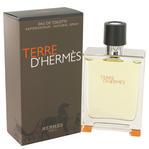 Perfume Masculino Terre D'hermes Hermes 100 Ml Eau de Toilette