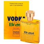 Perfume Paris Elysees Vodka Brasil EDT 100mL Masculino
