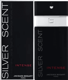 Perfume Silver Scent Intense