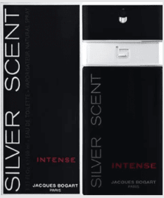 Perfume Silver Scent Intense