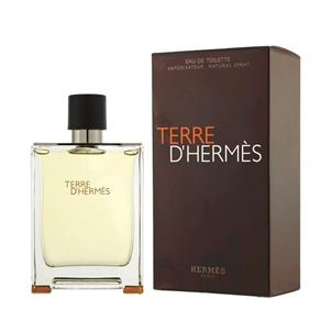 Perfume Terre D`Hermès Eau de Toilette Masculino 100ml - Hermes