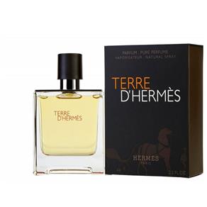 Perfume Terre D`Hermès Eau de Toilette Masculino 100ml - Hermes