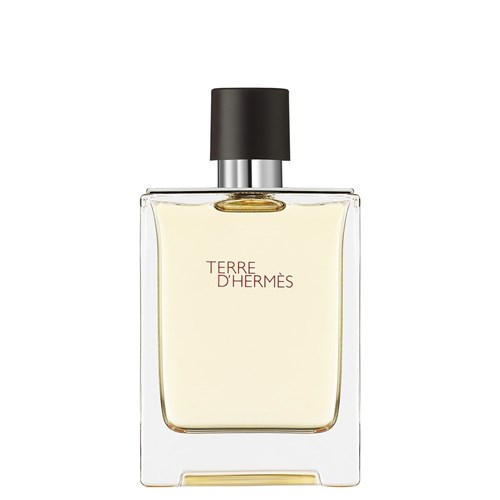 Perfume Terre D'hermès Masculino Eau de Toilette