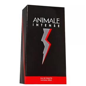 Perfumes Animale Intense Masculino 50ml EDT