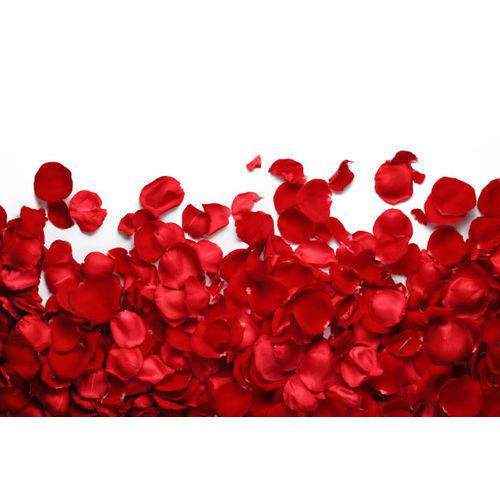 Tudo sobre 'Pétalas de Rosas Artificiais Vermelha em Tecido Caixa com 5.000 Unidades'