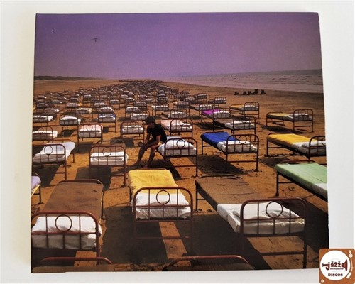 Pink Floyd - a Momentary Lapse Of Reason