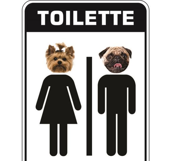 Placa de Sinalização- Toilette 2 - Sinaliza Pet