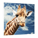 Placa Decorativa 19x19cm - Girafa