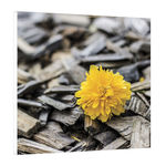 Placa Decorativa 19x19cm - Flor 12 Amarelo e Cinza para Colar na Parede