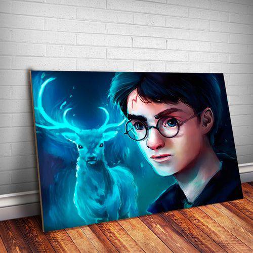 Placa Decorativa Harry Potter 29
