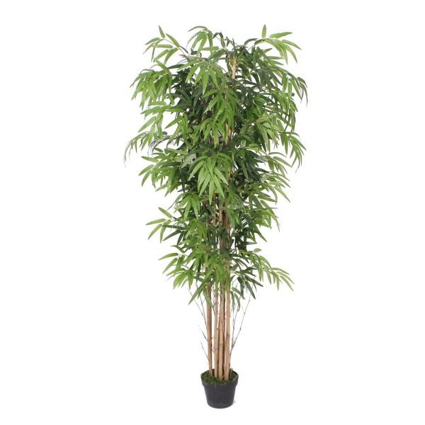 Planta Bambu Caule Natural Permanente 180cm - Akz Home