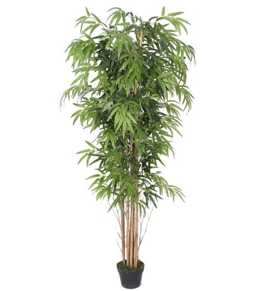 Planta Bambu Caule Natural Permanente 180cm - Akz Home