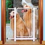 Portão Grade para Cachorro e Criança 70 X 80cm Branco Açomix