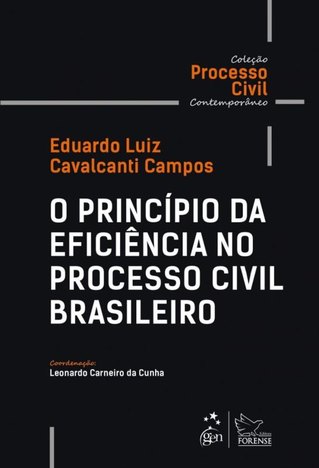 Principio da Eficiencia no Processo Civil Brasileiro, o